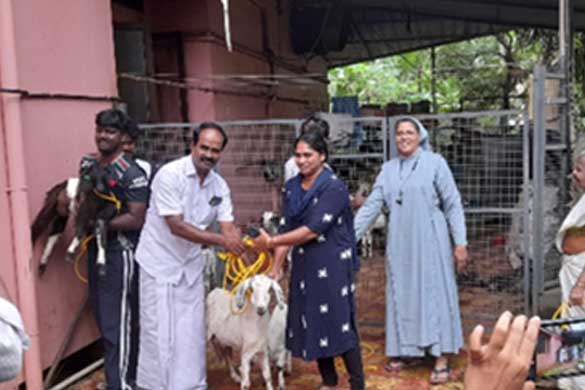 Charity Activities 